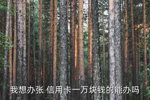 什么网站能申请信用卡额度,申请了信用卡不激活有什么影响
