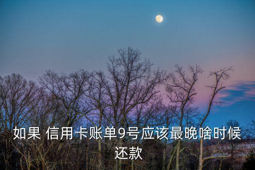 如果 信用卡账单9号应该最晚啥时候 还款