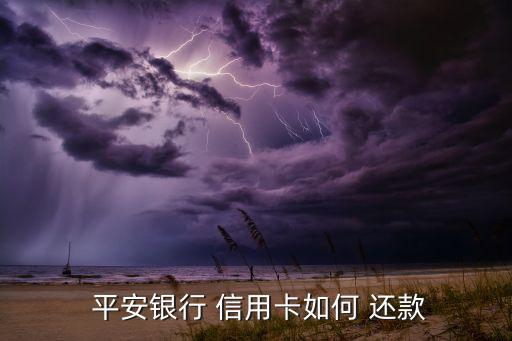  平安银行 信用卡如何 还款