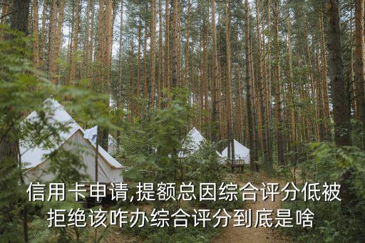  信用卡申请,提额总因综合评分低被拒绝该咋办综合评分到底是啥