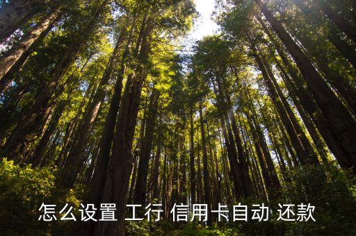 工行缴费信用卡还款,工行visa信用卡怎么还款外币
