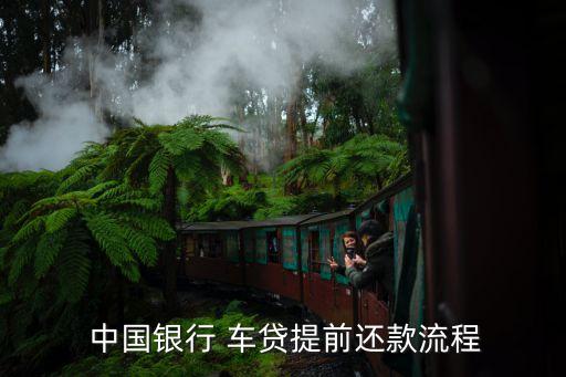 中国银行车贷信用卡申请,车贷给我办的中国银行信用卡