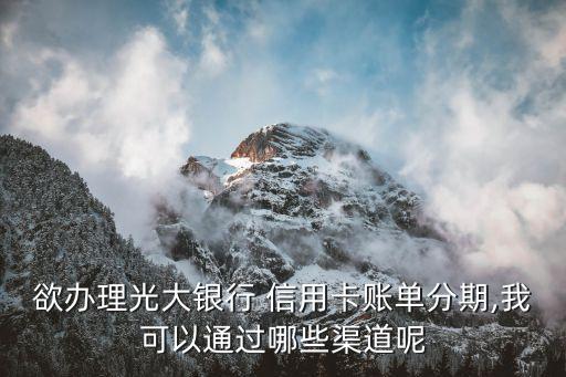 欲办理光大银行 信用卡账单分期,我可以通过哪些渠道呢