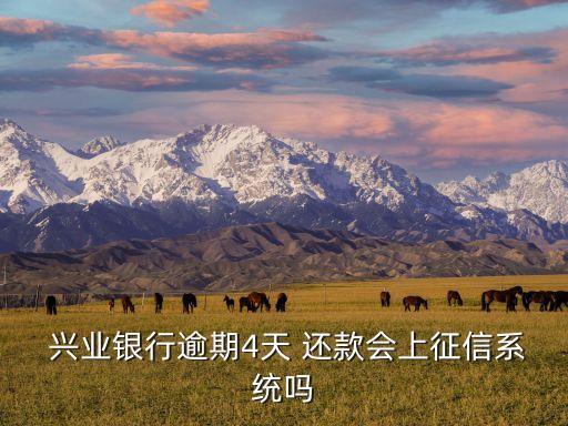 兴业信用卡迟四天还款