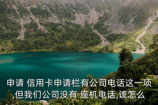 申请 信用卡申请栏有公司电话这一项,但我们公司没有 座机电话,该怎么