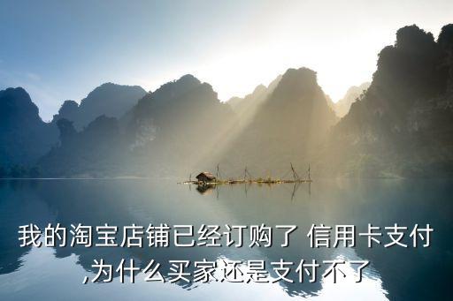 我的淘宝店铺已经订购了 信用卡支付,为什么买家还是支付不了