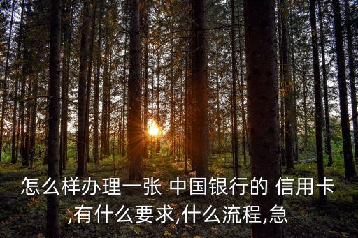怎么样办理一张 中国银行的 信用卡,有什么要求,什么流程,急