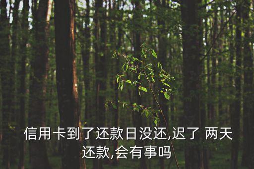  信用卡到了还款日没还,迟了 两天还款,会有事吗