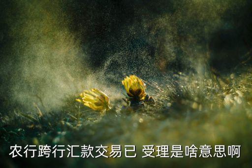 农行跨行汇款交易已 受理是啥意思啊