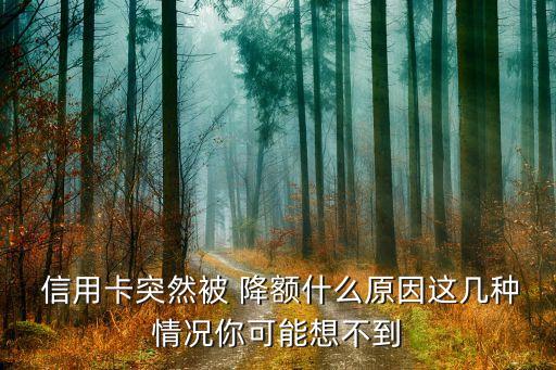 银行信用卡降额是人为的吗,哪几个银行信用卡不容易降额