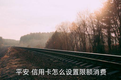  平安 信用卡怎么设置限额消费