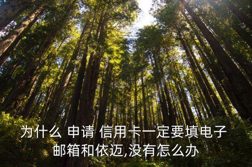为什么 申请 信用卡一定要填电子 邮箱和依迈,没有怎么办