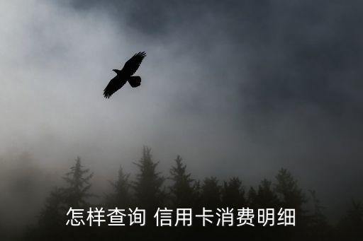怎样查询 信用卡消费明细