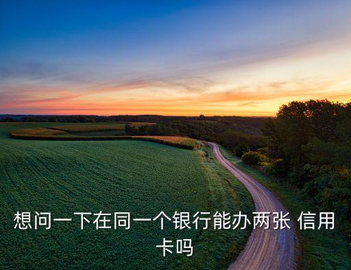 可以申请多张同家信用卡吗