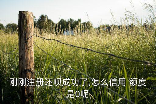 刚刚注册还呗成功了,怎么信用 额度是0呢