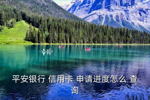 网上信用卡申请去哪里查询,申请了信用卡去哪里看是否批了