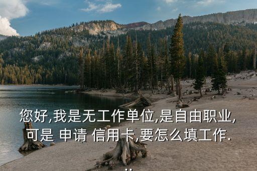 您好,我是无工作单位,是自由职业,可是 申请 信用卡,要怎么填工作...