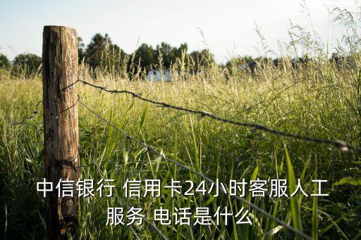  中信银行 信用卡24小时客服人工服务 电话是什么