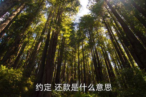  约定 还款是什么意思