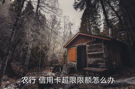  农行 信用卡超限限额怎么办