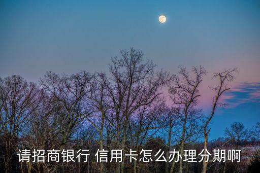 请招商银行 信用卡怎么办理分期啊