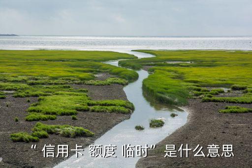 “ 信用卡 额度 临时”是什么意思