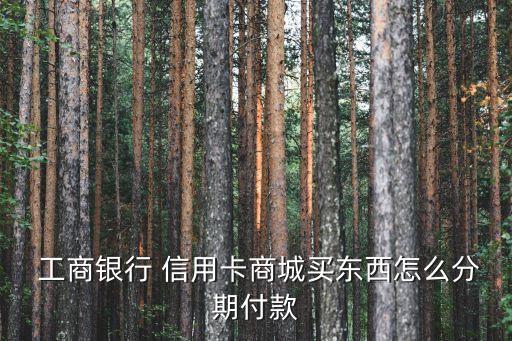 中国工商分期信用卡,工商分期信用卡贷款两万块钱,分12期,一期还多少钱