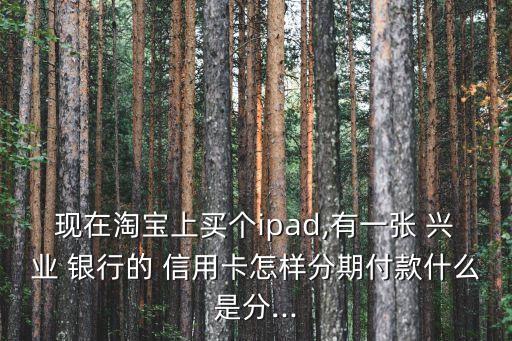现在淘宝上买个ipad,有一张 兴业 银行的 信用卡怎样分期付款什么是分...