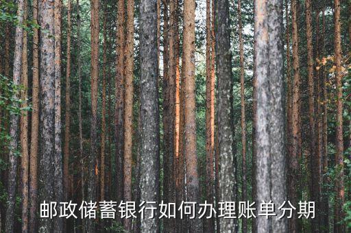  邮政储蓄银行如何办理账单分期