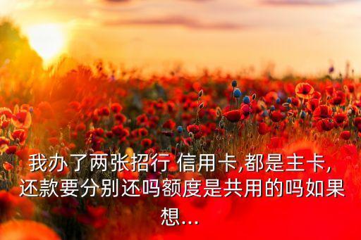 我办了两张招行 信用卡,都是主卡, 还款要分别还吗额度是共用的吗如果想...
