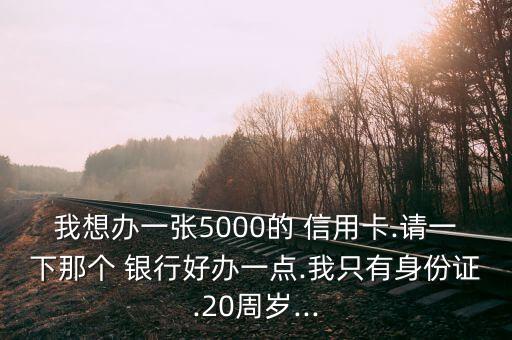 我想办一张5000的 信用卡.请一下那个 银行好办一点.我只有身份证.20周岁...