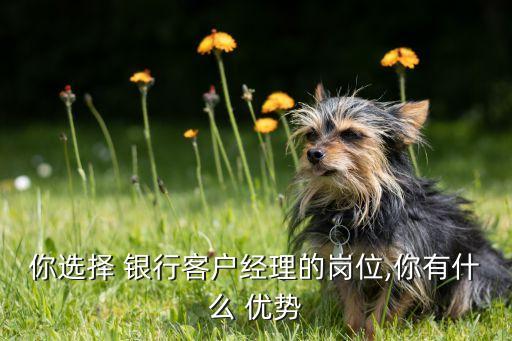 银行信用卡团队主管优势,邮储银行信用卡销售团队