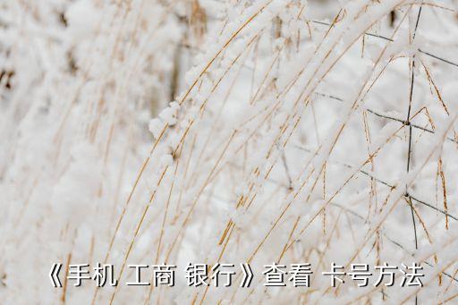 《手机 工商 银行》查看 卡号方法