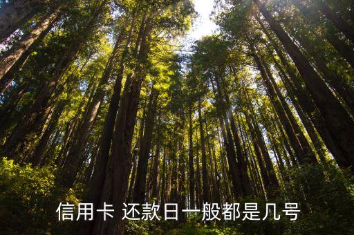  信用卡 还款日一般都是几号