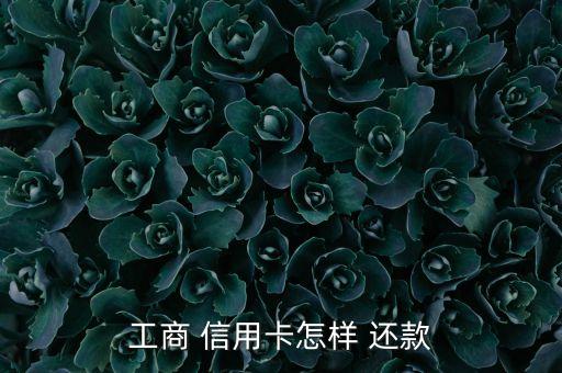 工商 信用卡怎样 还款