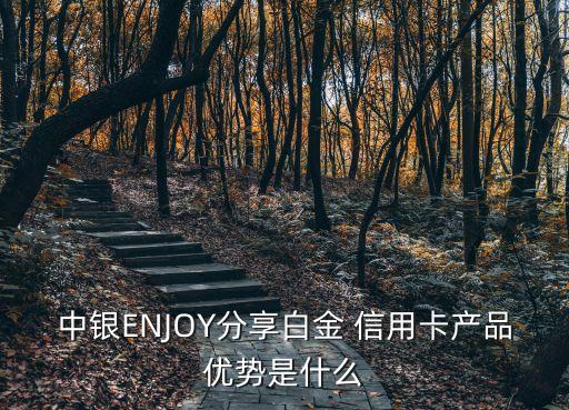 中银ENJOY分享白金 信用卡产品优势是什么