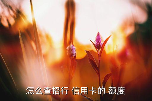 怎么查招行 信用卡的 额度