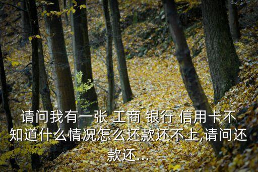 工商银行信用卡钱还不了