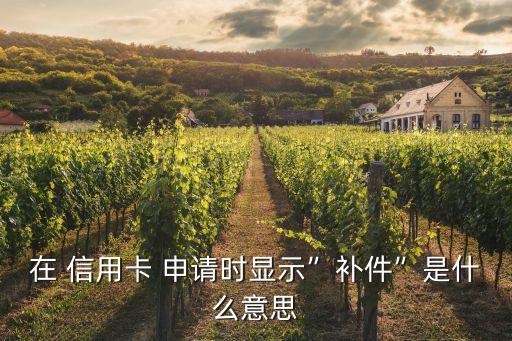 在 信用卡 申请时显示”补件”是什么意思