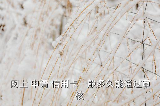 网上 申请 信用卡一般多久能通过审核