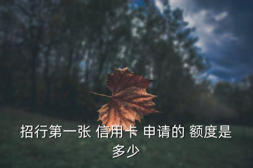 招行第一张 信用卡 申请的 额度是多少