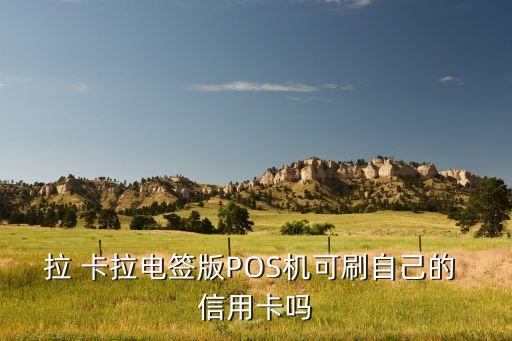 拉 卡拉电签版POS机可刷自己的 信用卡吗