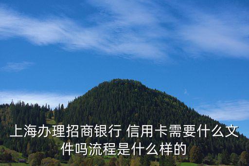 上海办理招商银行 信用卡需要什么文件吗流程是什么样的