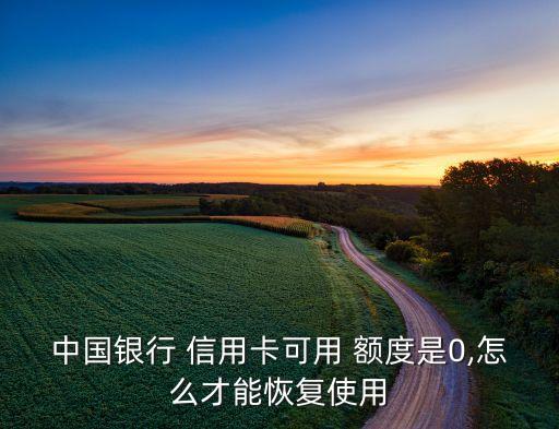 中国银行 信用卡可用 额度是0,怎么才能恢复使用