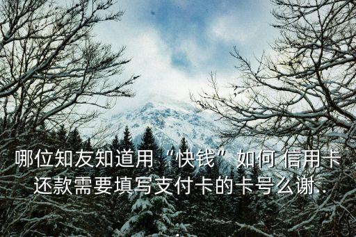 哪位知友知道用“快钱”如何 信用卡 还款需要填写支付卡的卡号么谢...