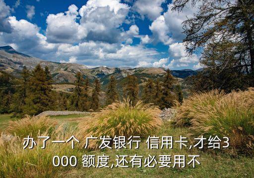 办了一个 广发银行 信用卡,才给3000 额度,还有必要用不