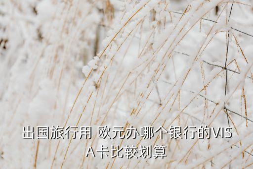 出国旅行用 欧元办哪个银行的VISA卡比较划算