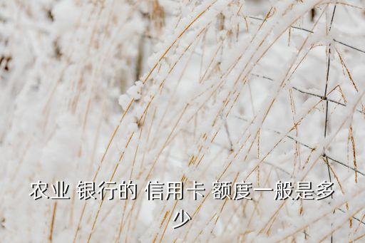农业 银行的 信用卡 额度一般是多少