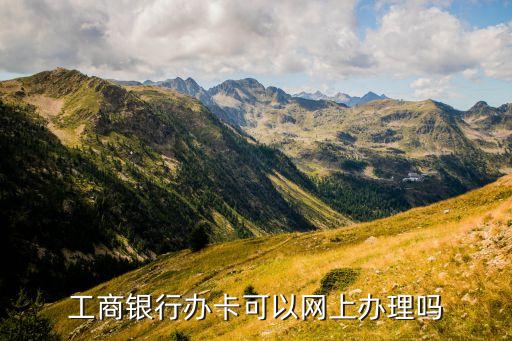 工行信用卡申请页面,工行的信用卡申请已受理是什么意思