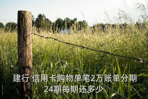 建行信用卡分期还多少